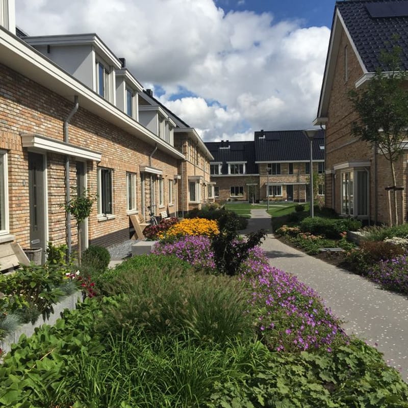 Vlaardings Geluk is een grootschalig nieuwbouwproject in Vlaardingen met drie woongebieden.